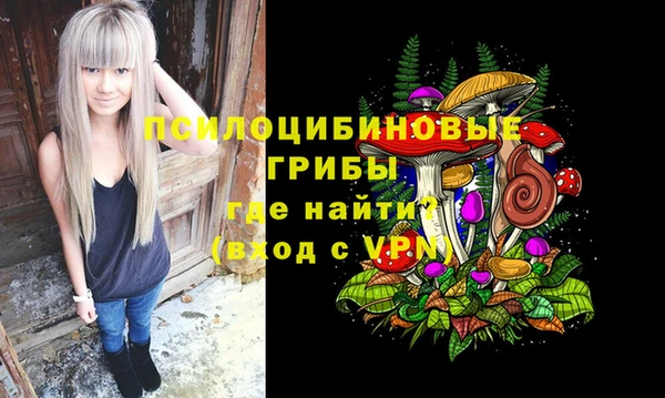 ГАЛЛЮЦИНОГЕННЫЕ ГРИБЫ Абдулино