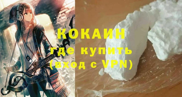 винт Абаза