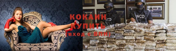 молекула духа Абинск