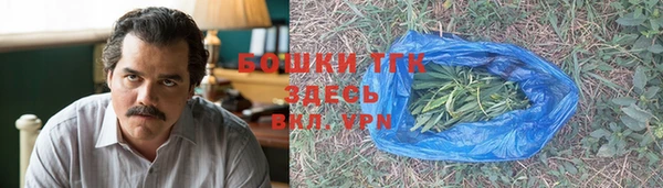 винт Абаза