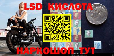 молекула духа Сосновый Бор