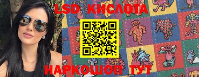 индика Сосновоборск