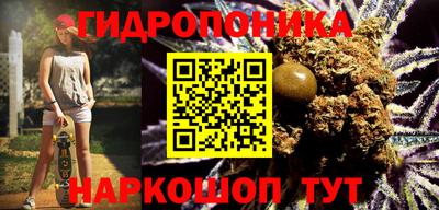 молекула духа Сосновый Бор