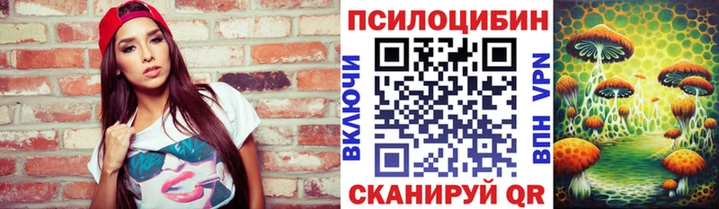 Псилоцибиновые грибы мицелий  закладки  Алейск 