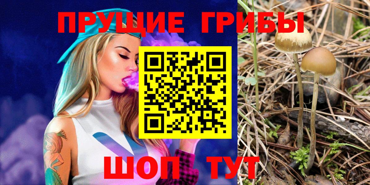 Псилоцибиновые грибы MAGIC MUSHROOMS Алейск